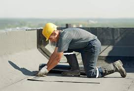 Best Green or Eco-Friendly Roofing Solutions  in Arbury Hls, IL